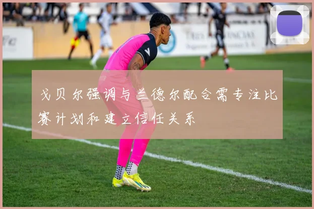 戈贝尔强调与兰德尔配合需专注比赛计划和建立信任关系